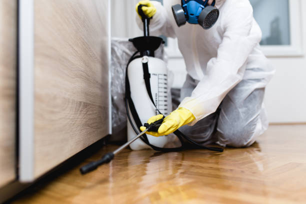 Best Bed Bug Extermination  in Elleale, ND