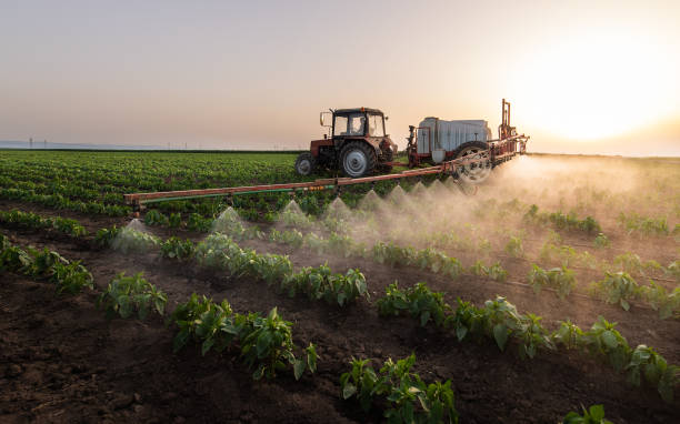 Best Cockroach Control Services  in Elleale, ND