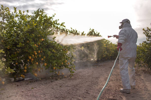 Best Best Pest Control Near Me  in Elleale, ND
